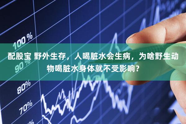 配股宝 野外生存，人喝脏水会生病，为啥野生动物喝脏水身体就不受影响？