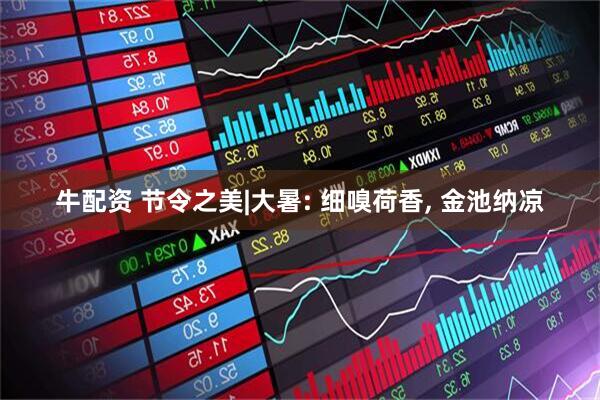 牛配资 节令之美|大暑: 细嗅荷香, 金池纳凉