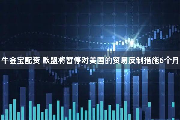牛金宝配资 欧盟将暂停对美国的贸易反制措施6个月