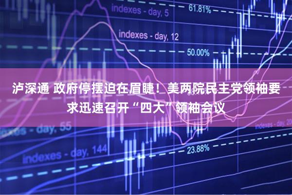 泸深通 政府停摆迫在眉睫！美两院民主党领袖要求迅速召开“四大”领袖会议