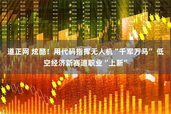 道正网 炫酷！用代码指挥无人机“千军万马” 低空经济新赛道职业“上新”